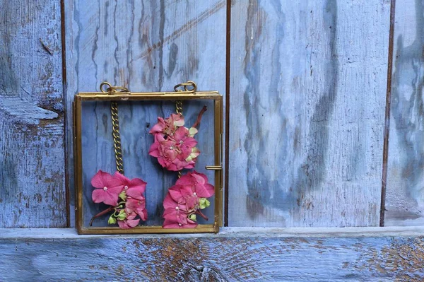 复古风格的粉红色绣球花的形象 在一个黄铜玻璃框架上的蓝色彩绘质朴木门 不寻常的婚礼装饰 — 图库照片