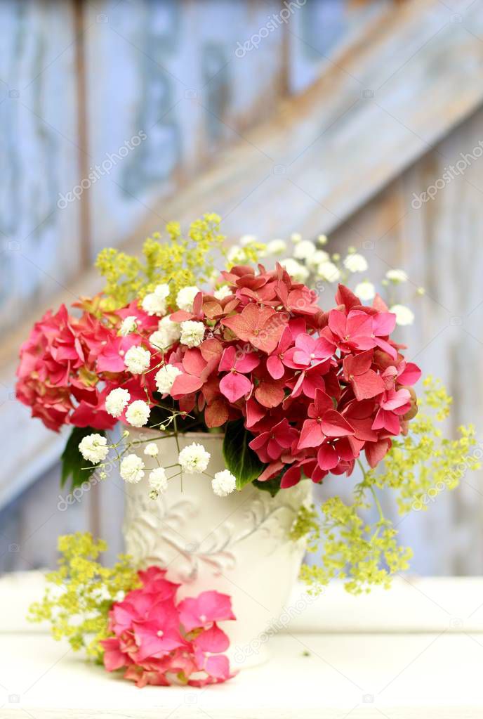 A still life of pink hydrangea , baby's breath and lady's mantle flowers  in a white shabby chic style cup in front of a blue rustic painted barn door . Shallow depth of field image for birthdays, valentines, anniversaries , wedding floral decoration