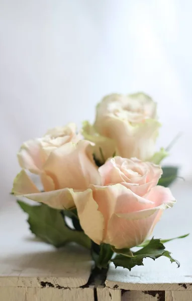 Bouquet Beautiful Winter Roses Shallow Depth Field Romantic Image Suitable — Stock Photo, Image