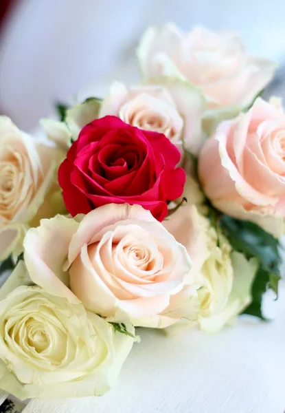 Bouquet Beautiful Winter Roses Shallow Depth Field Romantic Image Suitable — Stock Photo, Image