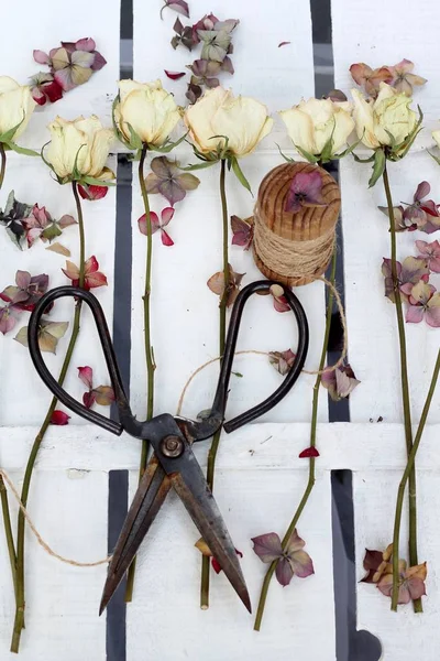 花店平躺着干玫瑰和绣球花花瓣与旧剪刀和绳子上的木制线轴 一个老式风格的破旧别致的花卉形象在白色的木制背景 — 图库照片