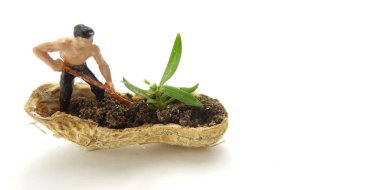 Kavramsal İllüstrasyon, Mücadele tutun, Mini Figür adam sınırlı alanda tarım, fıstık derisi, beyaz negatif alan ile