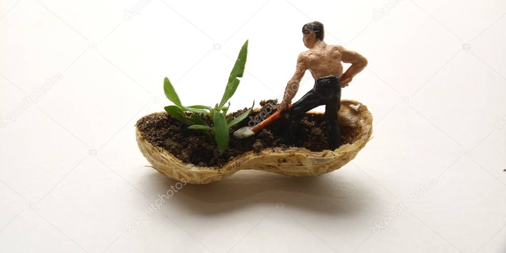 Conceptual Illustration, Keep Struggle, Mini Figure man farming at limited area, peanut skin, with white negative space