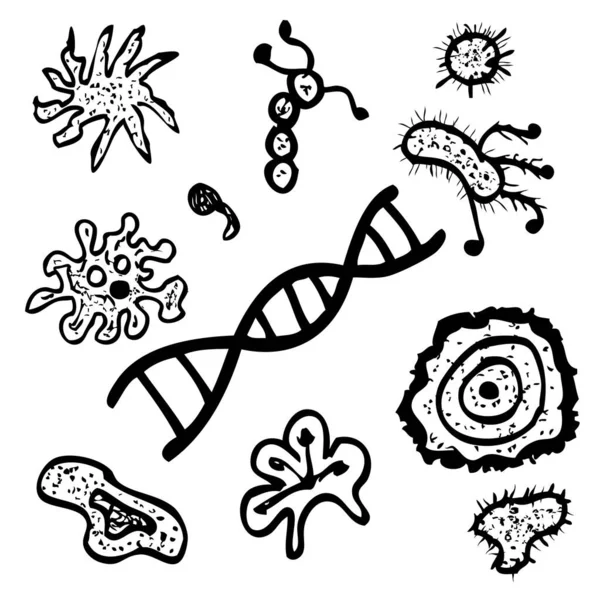 Vector Boceto Dibujo Mano Contorno Negro Varias Formas Virus Espora — Archivo Imágenes Vectoriales