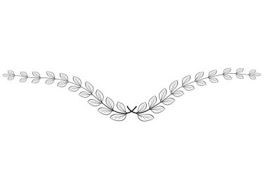 Defne çelengi vektörü, beyaz üzerinde izole