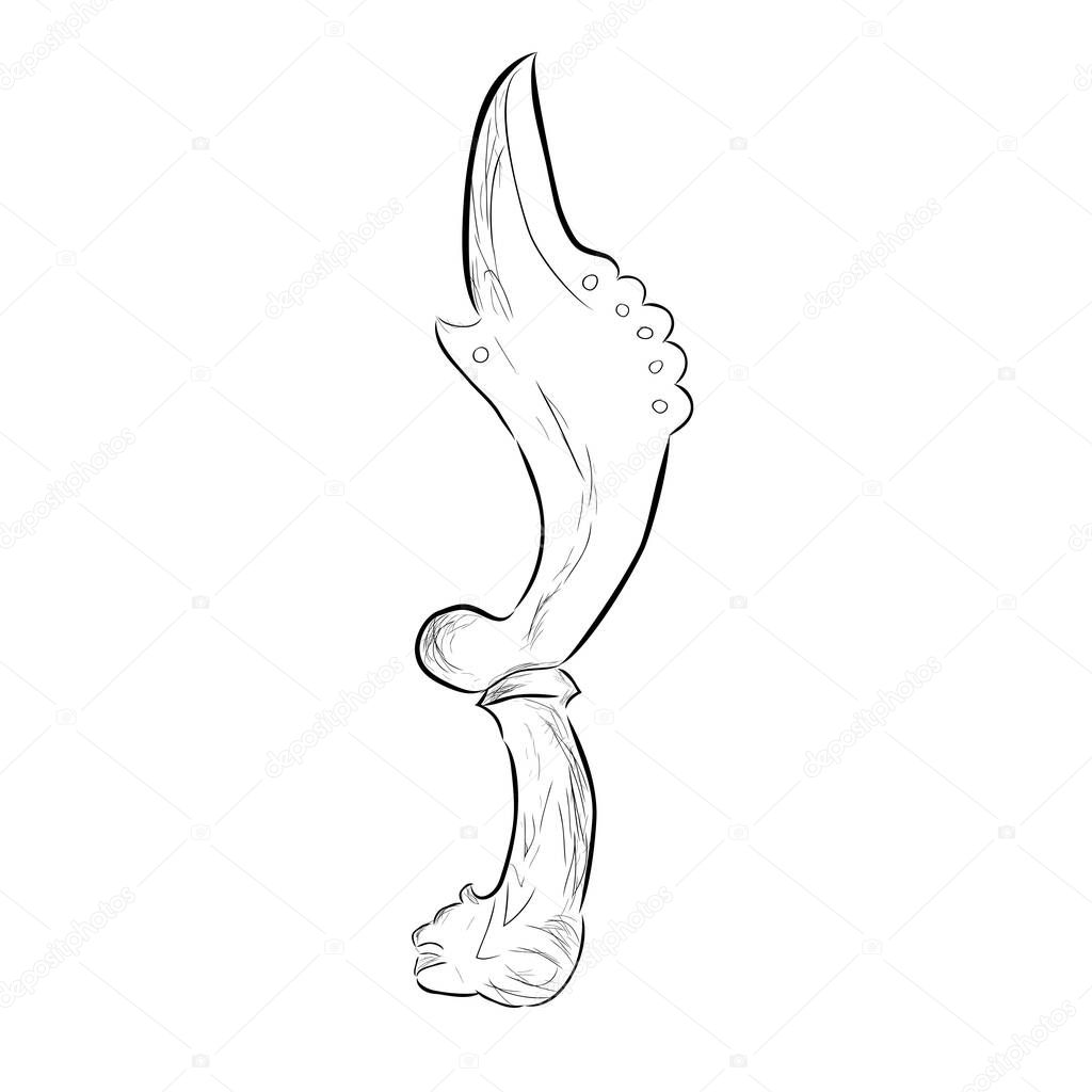 Vector Sketch of Kujang, Indonesia, West Java Traditional Knife