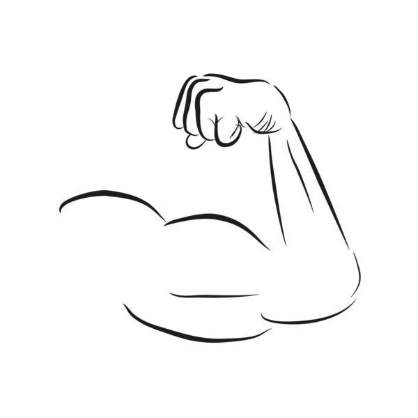 Simple Vector Sketch Arm Muscle Man Isolated White — Stock Vector