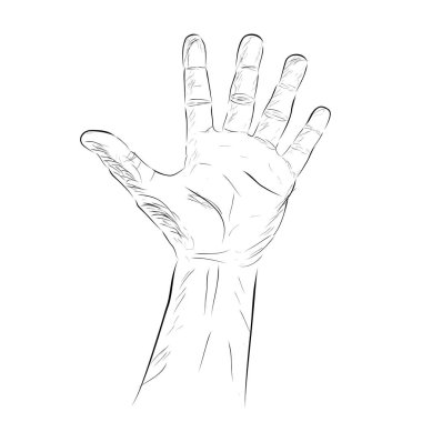 Sayılan El, ya da Oy, Beş, beyaz üzerine izole