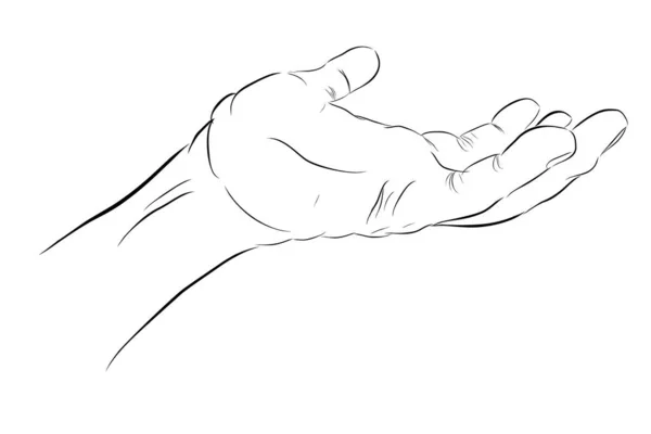 Sketchy Gesture Hand Gotowy Odbioru Lub Dać Coś — Wektor stockowy