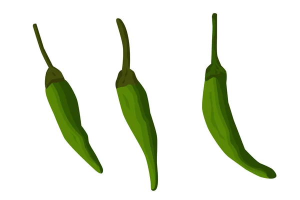 Vector Sketch Three Small Green Chili — Stock Vector