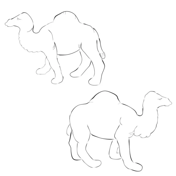 Simple Outline Sketch Camel — Stock Vector