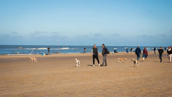 Egmond Aan Zee Países Bajos 2016 Dos Hombres Caminan Por —  Fotos de Stock