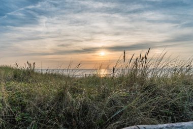 Günbatımı kumullar ve kumul bitki örtüsü (Marram çim) ve Kuzey Denizi Egmond aan Zee, Hollanda