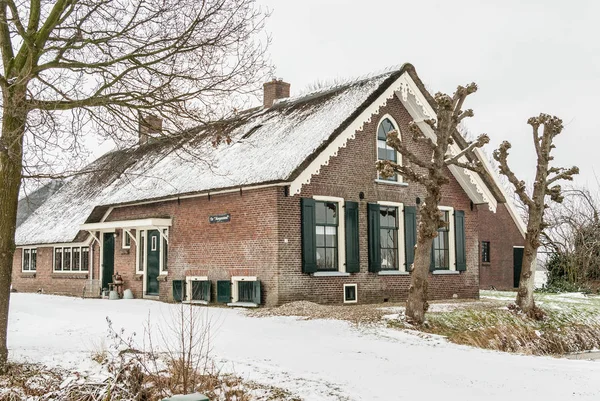 Breukelen, the Netherlands- 2010-01-14 : Typical farmhouse called \'de Morgenstond\' with thatched roof and white wooden carvings decorating the roof-edge. Brick building with green painted doors, windows and shutters. With trained Lime or Linden trees