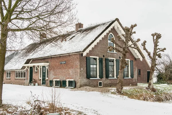 Breukelen, Hollanda- 2010-01-14 : Sazdan çatı ve çatı kenarını süsleyen beyaz ahşap oymalar ile 'de Morgenstond' adı verilen tipik çiftlik evi. Yeşil boyalı kapılar, pencereler ve kepenkler ile Tuğla bina. Eğitimli Kireç veya Ihlamur ağaçları ile