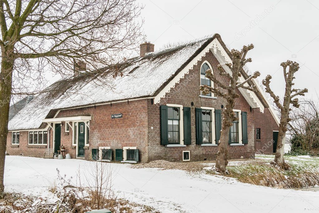 Breukelen, the Netherlands- 2010-01-14 : Typical farmhouse called 'de Morgenstond' with thatched roof and white wooden carvings decorating the roof-edge. Brick building with green painted doors, windows and shutters. With trained Lime or Linden trees