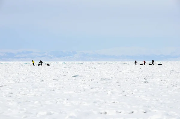 旅行者のグループは 氷のバイカル湖を通過します ひび割れ ハンモック 冬のアドベンチャー — ストック写真