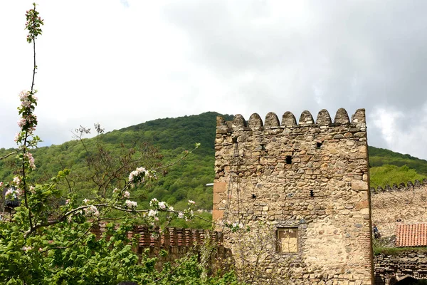 Di sudut menara Istana Ananuri dengan latar belakang gunung. Georgia — Stok Foto