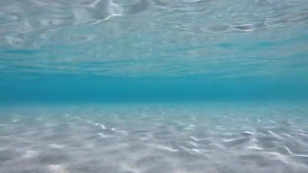 サルデーニャ イタリアの透き通った海の水 地中海のイタリア サルデーニャ イタリアの海岸の水中の様子ない人は コピーの領域 — ストック動画