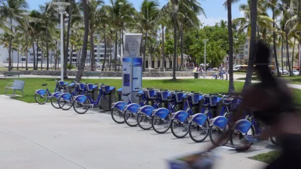 迈阿密海滩 2018年7月 出租自行车和自行车分享在南海滩 迈阿密海滩 美国佛罗里达的停车场 美国城市出租自行车和清洁运输 — 图库视频影像