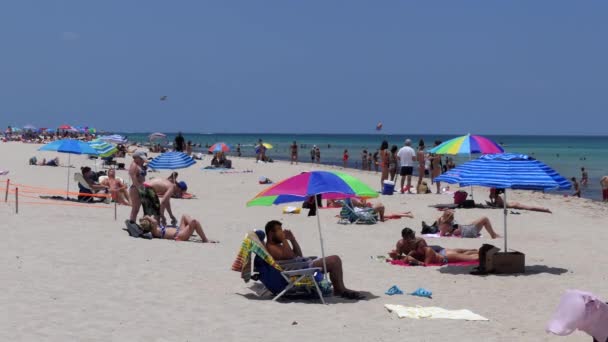 Miami Beach Eua Julho 2018 Pessoas Relaxando Férias South Beach — Vídeo de Stock