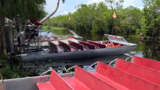 Airboats För Turister Nationalparken Everglades Florida Usa — Stockvideo