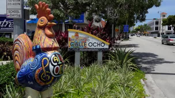 Μαϊάμι Φλόριντα Ηπα Ιουλίου 2018 Προβολή Της Calle Ocho Στην — Αρχείο Βίντεο