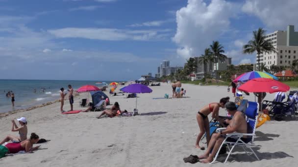 好莱坞 佛罗里达 2018年7月 在美国佛罗里达州好莱坞海滩度假的人们放松 游客们在海边的暑假里度假 美国的美景与休闲 — 图库视频影像