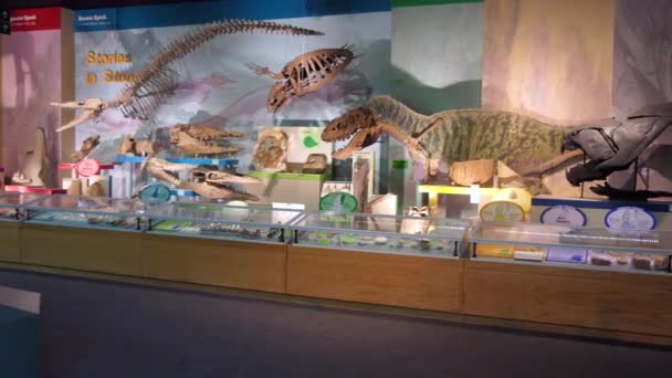 杰克逊 密西西比 2018年7月 Mdwfp 的自然科学博物馆在杰克逊 密西西比 恐龙附近的孩子展示 — 图库视频影像