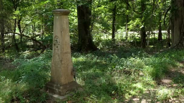 岩石泉 Aghost 被摒弃在二十世纪三十年代 和历史遗址位于 Inclaiborne 密西西比 美国在 Thenatchez 踪影大路 猫在坟墓在地方坟墓 — 图库视频影像