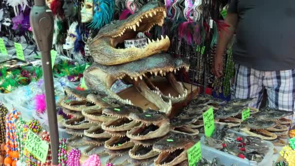 新奥尔良 路易斯安那州 2018年7月 鳄鱼头出售 美国路易斯安那州新奥尔良法国区法国市场内的跳蚤市场摊档 — 图库视频影像