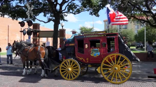 Fort Worth Texas Usa Juli 2018 Traditionella Diligens För Turister — Stockvideo