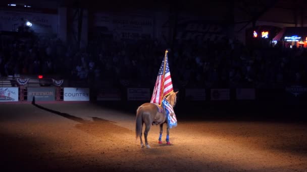 Fort Worth Texas Eua Julho 2018 Jovem Americana Montando Cavalo — Vídeo de Stock
