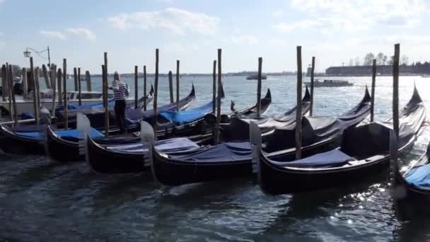 Venedig Italien November 2018 Utsikt Över Gondolerna Venedig Italien Staden — Stockvideo