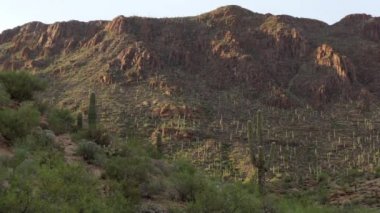Görünümü, Arizona, Amerika Birleşik Devletleri Saguaro Milli Parkı. Amerikan manzara kaktüs, ağaçlar, bitkiler ve doğal güzellik. Gün batımında çöl dağlar ve kurak vahşi bölgesinde doğal seyahat