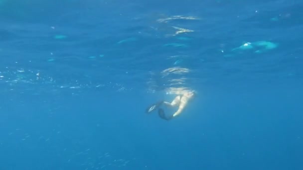 Maldives March 2019 Girl Snorkeling Sea Clear Blue Waters Maladewa — Stok Video