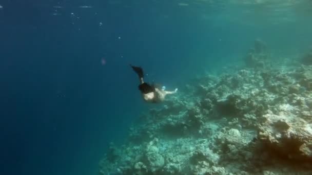马尔代夫 2019年3月 在马尔代夫 印度洋浅水区浮潜的女孩 妇女免费潜水度假的运动 度假的乐趣 在热带珊瑚礁附近游泳的人们 — 图库视频影像