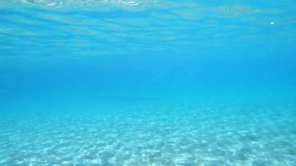 Agua Mar Cristalina Cerdeña Italia Vista Submarina Costa Italiana Cerdeña — Vídeo de stock