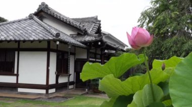 Tennoji veya Tenno-ji tapınağı, Yanaka bölgesindeki en eski tapınak, Tokyo, Japonya, Asya. Lotus çiçek ve güzel bahçe ile eski Japon dini bina