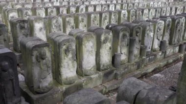 Yanaka bölgesinde Jomyoin veya Jyomyoin tapınağı, Tokyo, Japonya, Asya. 84.000 Jizo heykeli ile eski Japon dini bina (çocukların koruyucu tanrılar)