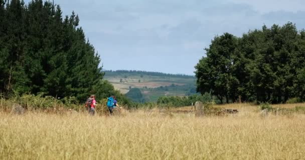 Portomarin Spain August 2019 Pilgrims Walking Portomarin Spanish Town Camino — Stock Video