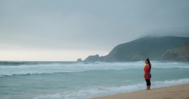 Mujer contemplando el océano de pie en una playa — Vídeos de Stock