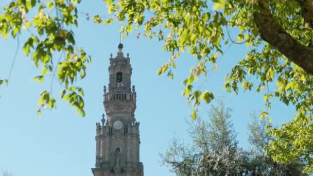 Clerigos Tower in Porto gezien door bomen — Stockvideo