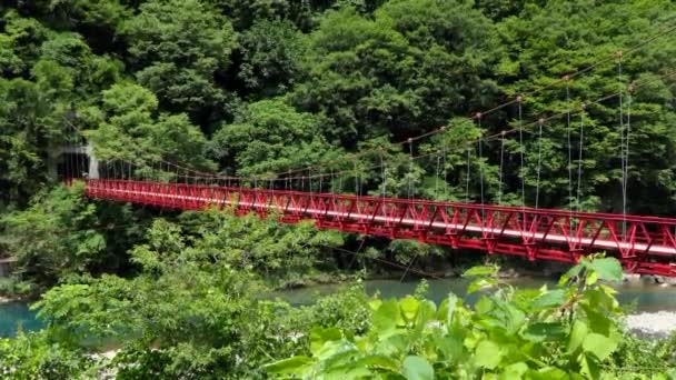 日本秋田县达基加季峡谷或达基加季山谷景观 日本最受欢迎的旅游胜地和旅游胜地 有高耸的桥 水晶般清澈的河流 — 图库视频影像