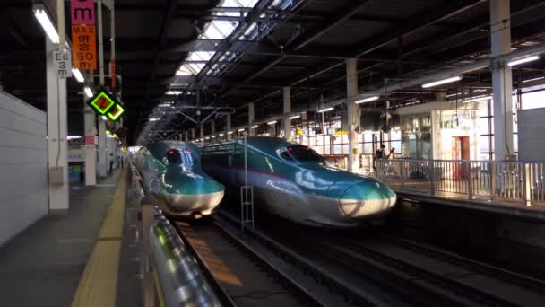 Morioka Japón Julio 2019 Dos Trenes Bala Shinkansen Serie Estación — Vídeos de Stock