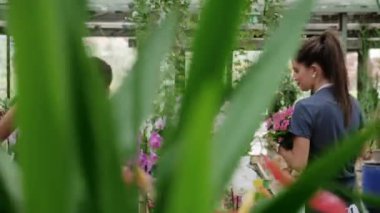 Çiçekçide çiçekçi olarak çalışan meşgul genç kadın ve adam. Satış müdürü, seradaki çiçek ve bitkiler için iş arkadaşına yardım ediyor. Mutlu meslektaşlarla takım çalışması ve işbirliği