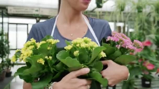年轻的专家男女在花店当花匠 销售助理帮助同事处理温室里的植物和花卉 团队合作和与快乐同事的合作 — 图库视频影像