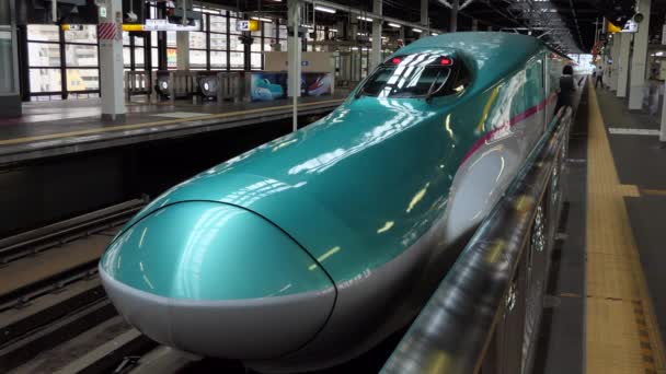 7月2019 アジアの盛岡Jr鉄道駅でのE5シリーズ新幹線 現代の交通 高速旅行 日本の旅行者やプラットフォーム上のアジアの人々 — ストック動画