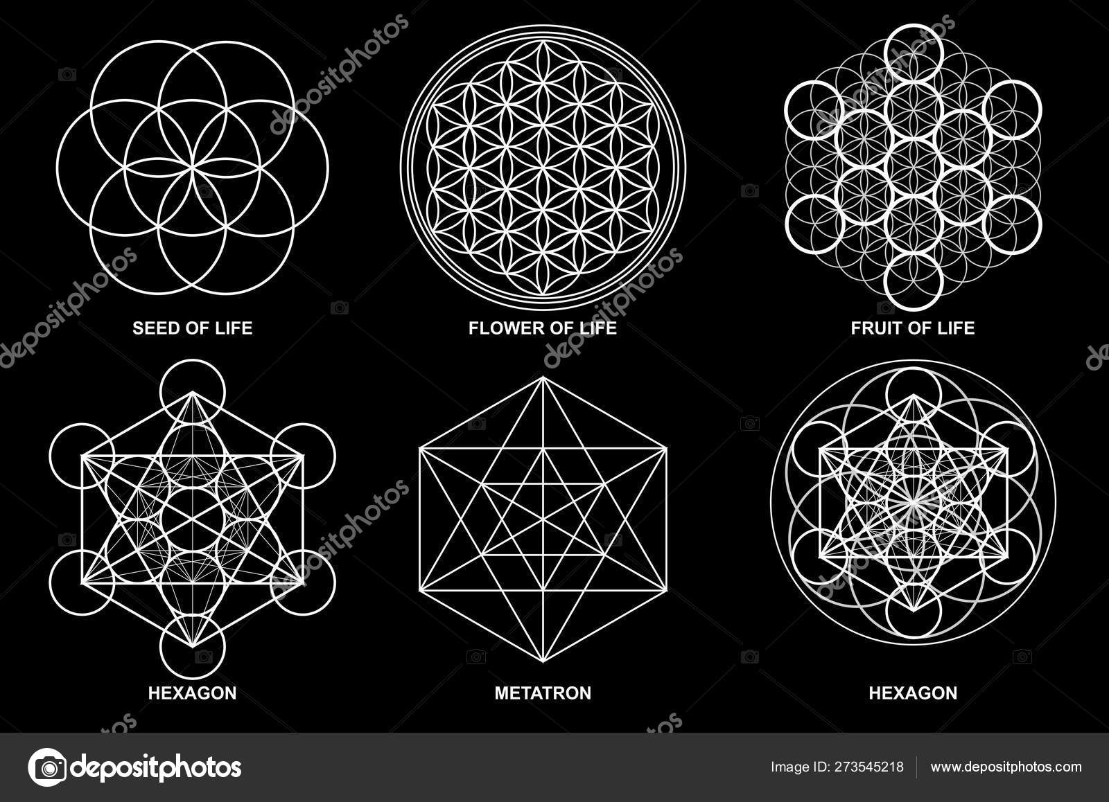Metatron's cube Flower of life Crystal Grid Sacred Geometry 