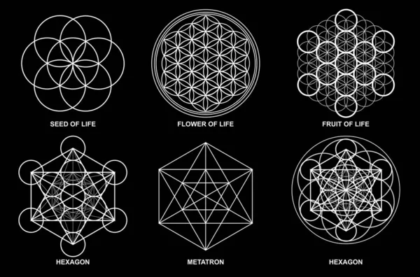 Géométrie Sacrée Fleur Vie Semence Vie Œuf Vie Cube Métatron — Image vectorielle